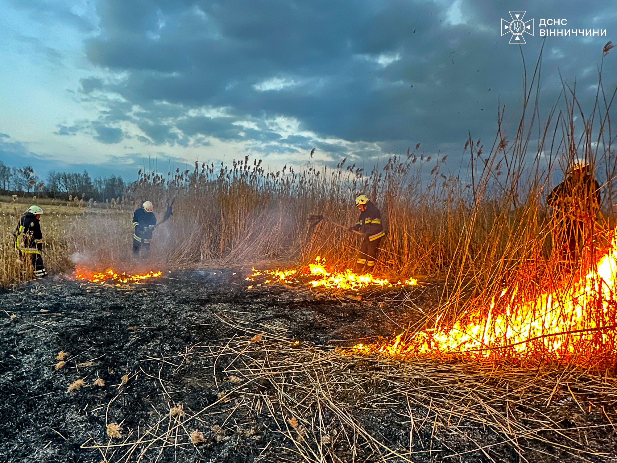 19 пожеж за добу: на Вінниччині знову палає суха рослинність