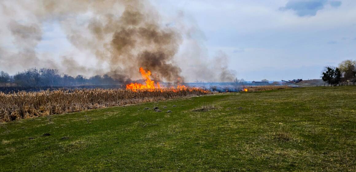 На Вінниччині зафіксували 16 пожеж в екосистемах за добу
