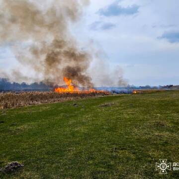 На Вінниччині зафіксували 16 пожеж в екосистемах за добу