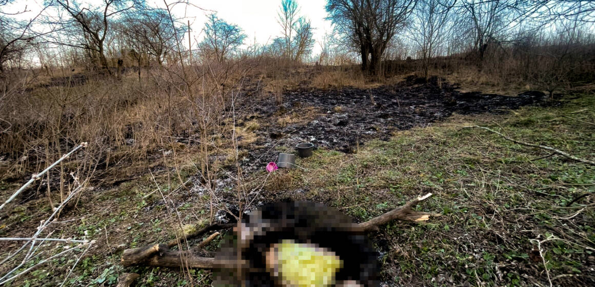 На Вінниччині через підпал трави загинула пенсіонерка