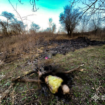 На Вінниччині через підпал трави загинула пенсіонерка