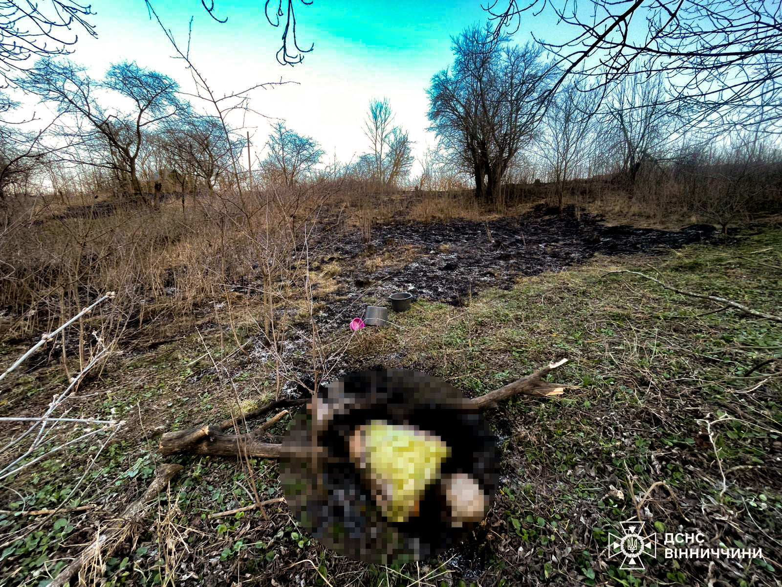 На Вінниччині через підпал трави загинула пенсіонерка