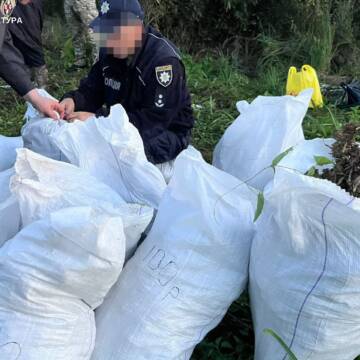 20 тисяч кущів конопель та цех амфетаміну: на Вінниччині судитимуть наркоугруповання