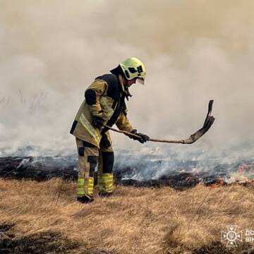 Вінниччина у вогні: за добу в області вигоріло понад 5 гектарів сухої рослинності
