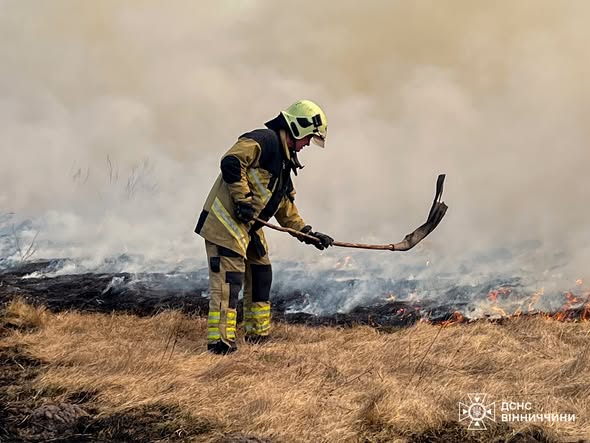 Вінниччина у вогні: за добу в області вигоріло понад 5 гектарів сухої рослинності