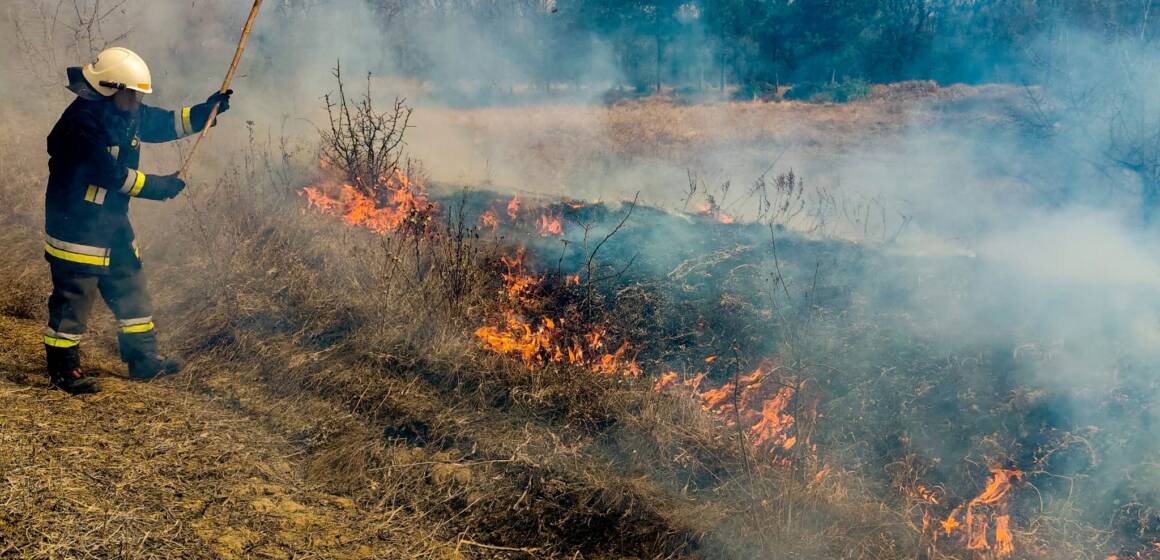 На Вінниччині за добу сталося 20 пожеж в екосистемах: рятувальники закликають не палити суху траву