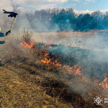659201501_1423097839829768_4863059243419737874_n На Вінниччині за добу сталося 20 пожеж в екосистемах: рятувальники закликають не палити суху траву