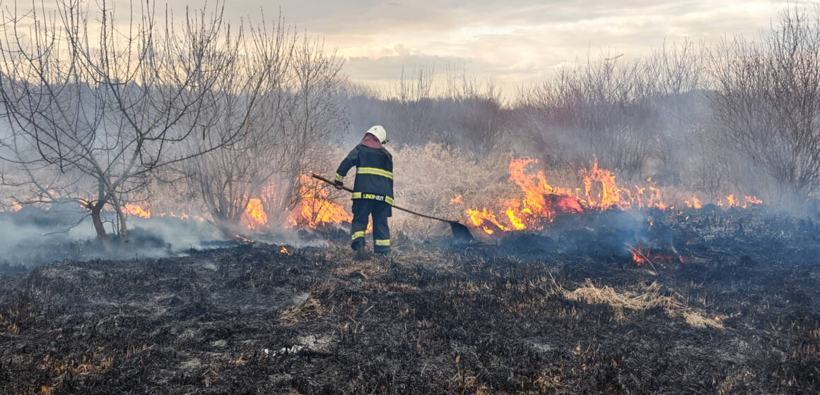 660497694_1425693972903488_8096123911464880445_n За добу на Вінниччині вигоріло 17 гектарів землі через пожежі