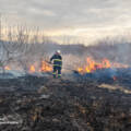 За добу на Вінниччині вигоріло 17 гектарів землі через пожежі