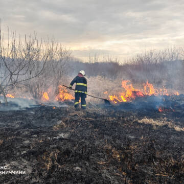 За добу на Вінниччині вигоріло 17 гектарів землі через пожежі