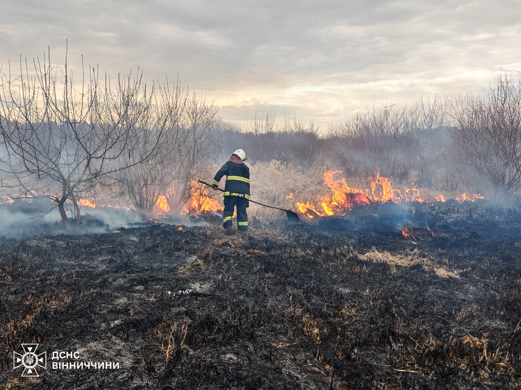 За добу на Вінниччині вигоріло 17 гектарів землі через пожежі