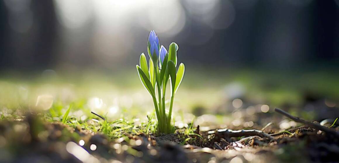 6a2cdc3901b53161e8ec9dee6a1d26c5_orig До +18 і без дощу: якою буде погода 26 березня на Вінниччині