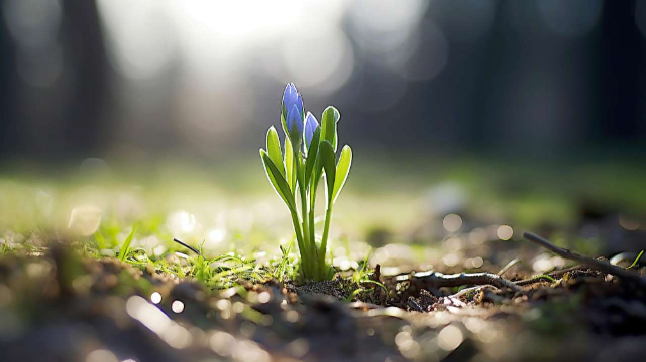 До +18 і без дощу: якою буде погода 26 березня на Вінниччині