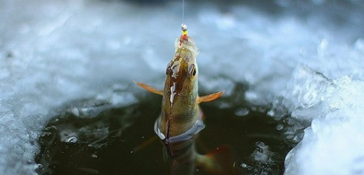 886a47a2a687a4fd091f8ab43ba68419 Рибалили на зимувальних ямах: на Вінниччині склали вісім адмінпротоколів