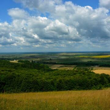Землі Трипільського поселення «подарували»: на Вінниччині викрили земельну махінацію