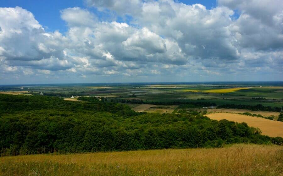 Землі Трипільського поселення «подарували»: на Вінниччині викрили земельну махінацію