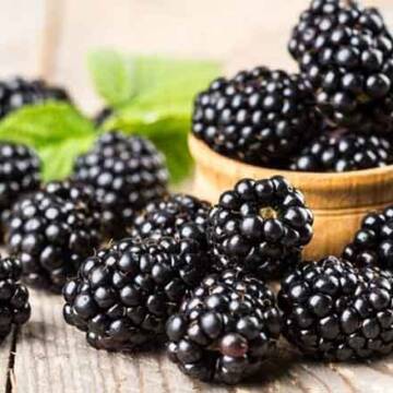 Еліксир краси та енергії: як налагодити гормональний баланс за допомогою звичайної їжі