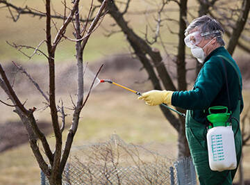 d138858ed7cafcf9853a53ea501cdb5d Весняне пробудження саду: як провести перше обприскування