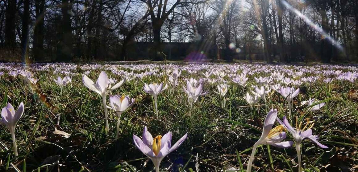 das-marz-wetter-2026-in-deutschland-tritt-dieses-irre-szenario-wirklich-ein-optimized Весна набирає обертів: на Вінниччину йде потепління