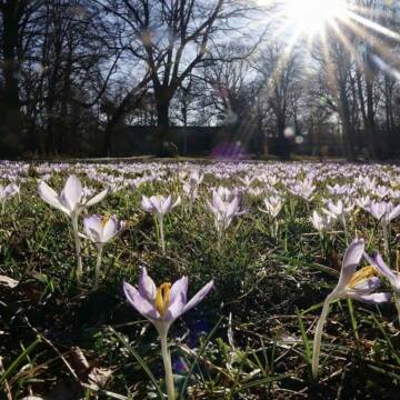 das-marz-wetter-2026-in-deutschland-tritt-dieses-irre-szenario-wirklich-ein-optimized Весна набирає обертів: на Вінниччину йде потепління