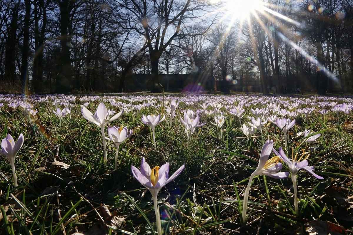 Весна набирає обертів: на Вінниччину йде потепління