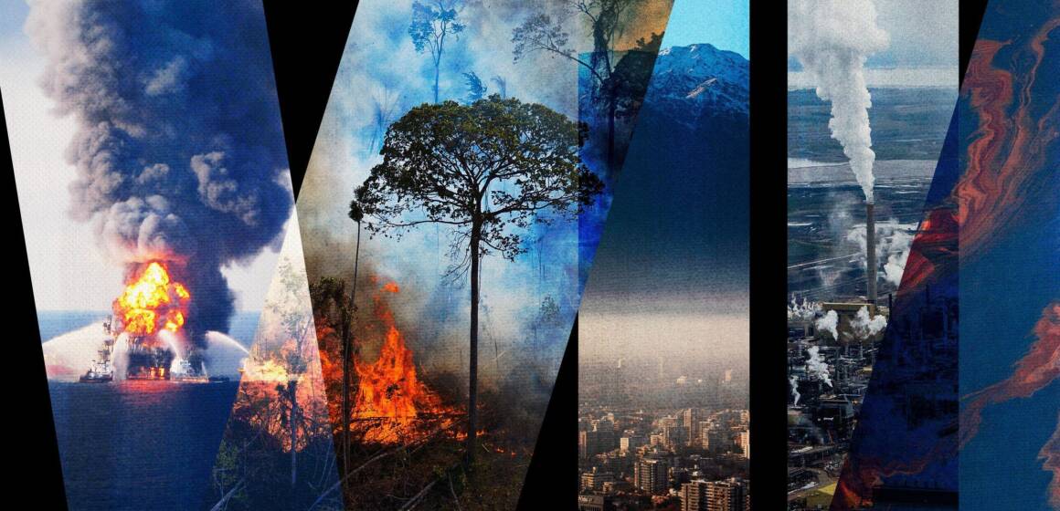 Екологічні злочини 2025 року: завдяки Держекоінспекції доведено 146 млн грн шкоди