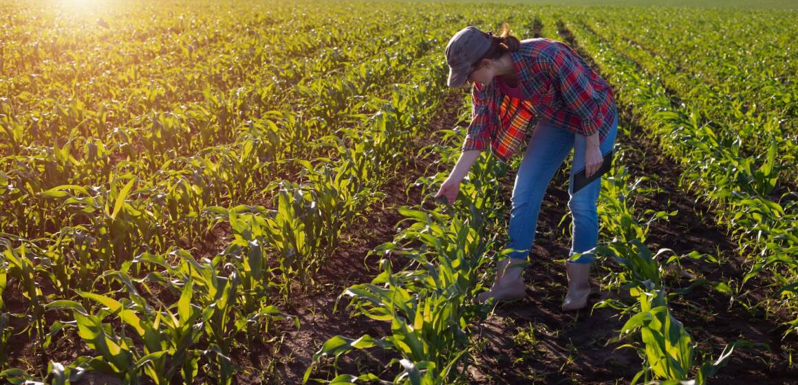 У Вінниці запроваджують новий механізм підтримки аграріїв і домогосподарств