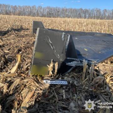 На Вінниччині вибухотехніки знешкодили уламки ворожого дрона “Герань-2”