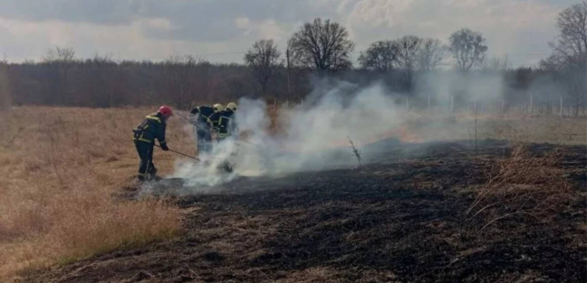 На Вінниччині за добу вигоріли одинадцять гектарів землі