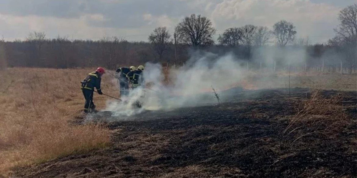 На Вінниччині за добу вигоріли одинадцять гектарів землі
