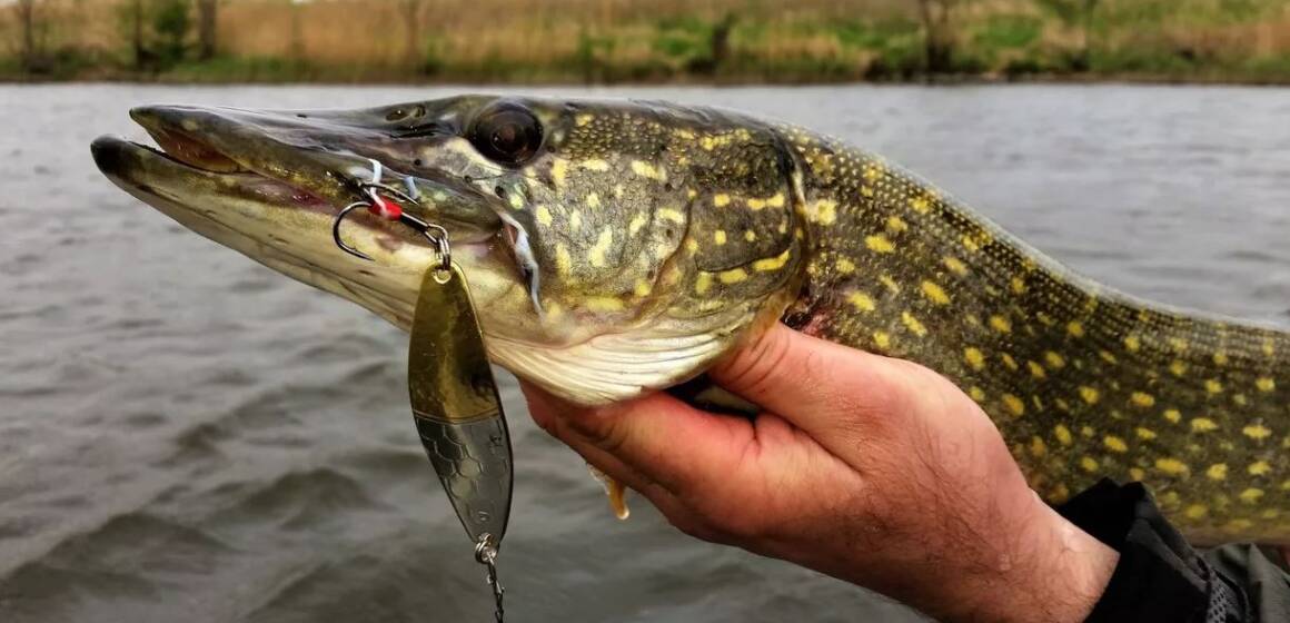 Календар рибалки на березень 2026: плануємо успішний виїзд