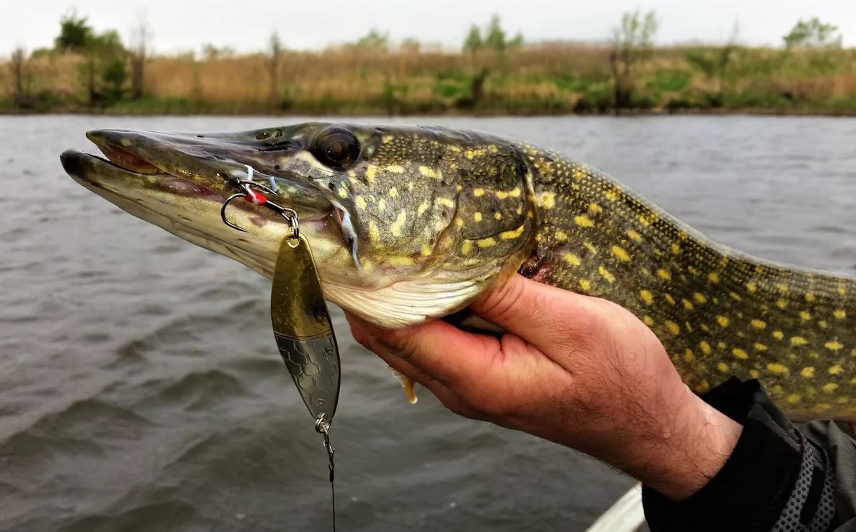 Календар рибалки на березень 2026: плануємо успішний виїзд