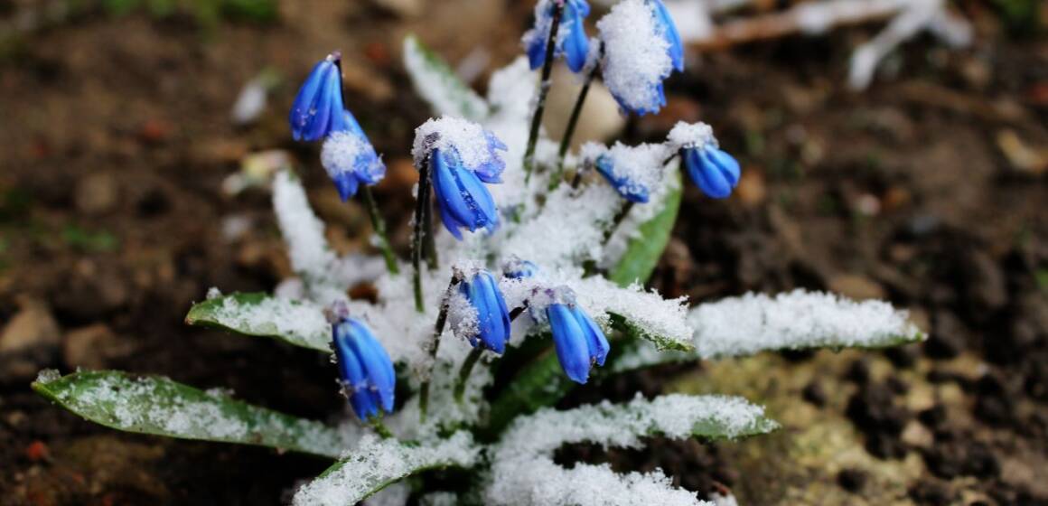 Астрологи розкрили головний ритуал успіху на 4 березня