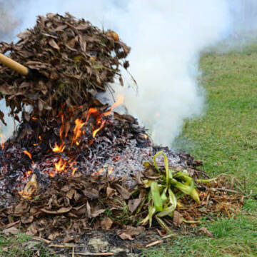 Чисте повітря замість штрафів: у Вінниці посилюють контроль за спалюванням листя та трави