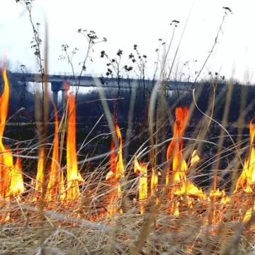 Вінничан попереджають про небезпеку спалювання сухої рослинності та штрафи