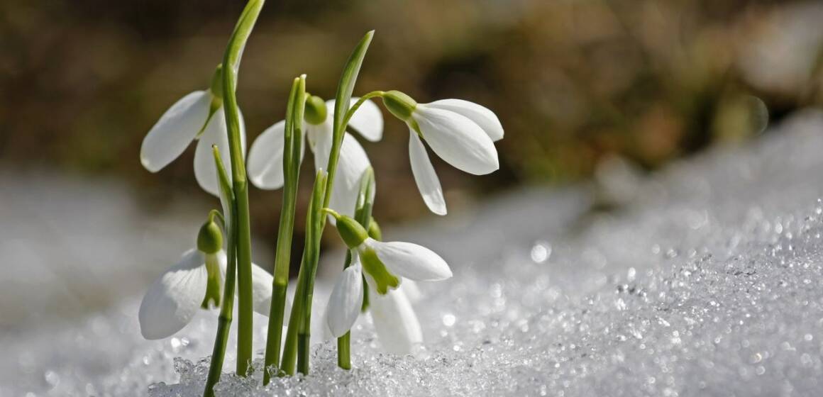 Мінлива хмарність: якою буде погода у Вінниці та області 6 березня