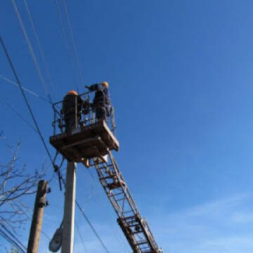 unnam-14ed Вінницькі енергетики активно розчищають дерева в охоронних зонах електромереж