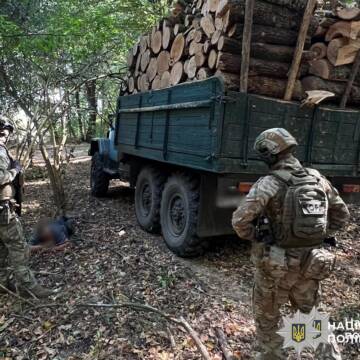 “Нарубали” на 6 мільйонів у заповіднику на Вінниччині