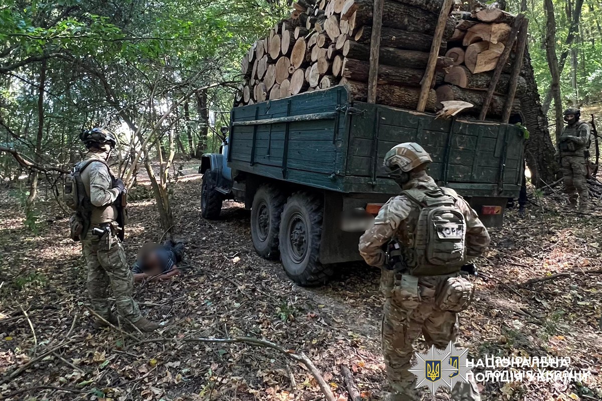 “Нарубали” на 6 мільйонів у заповіднику на Вінниччині