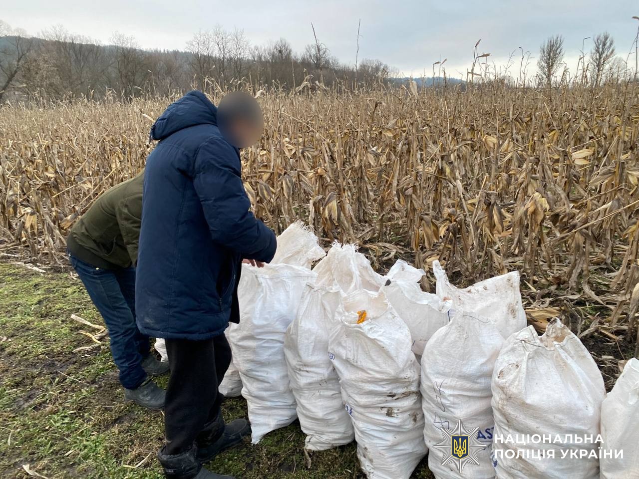 На Вінниччині затримали директора інтернату за примус до праці людей з інвалідністю