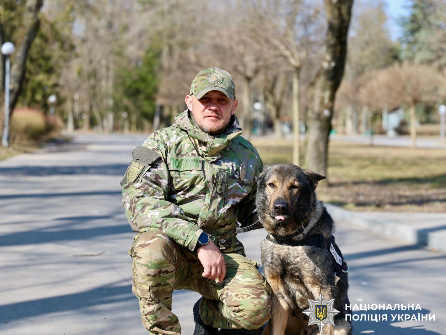 На Могилів-Подільщині пасинок убив вітчима: злочинця розшукав службовий пес