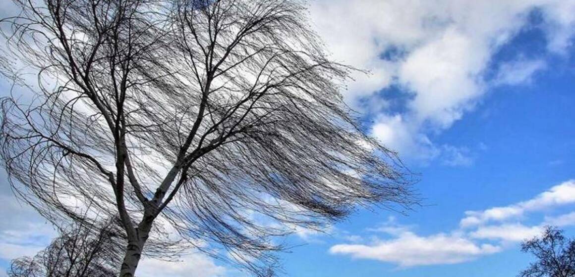 Весняне тепло та вітряна погода чекає сьогодні вінничан
