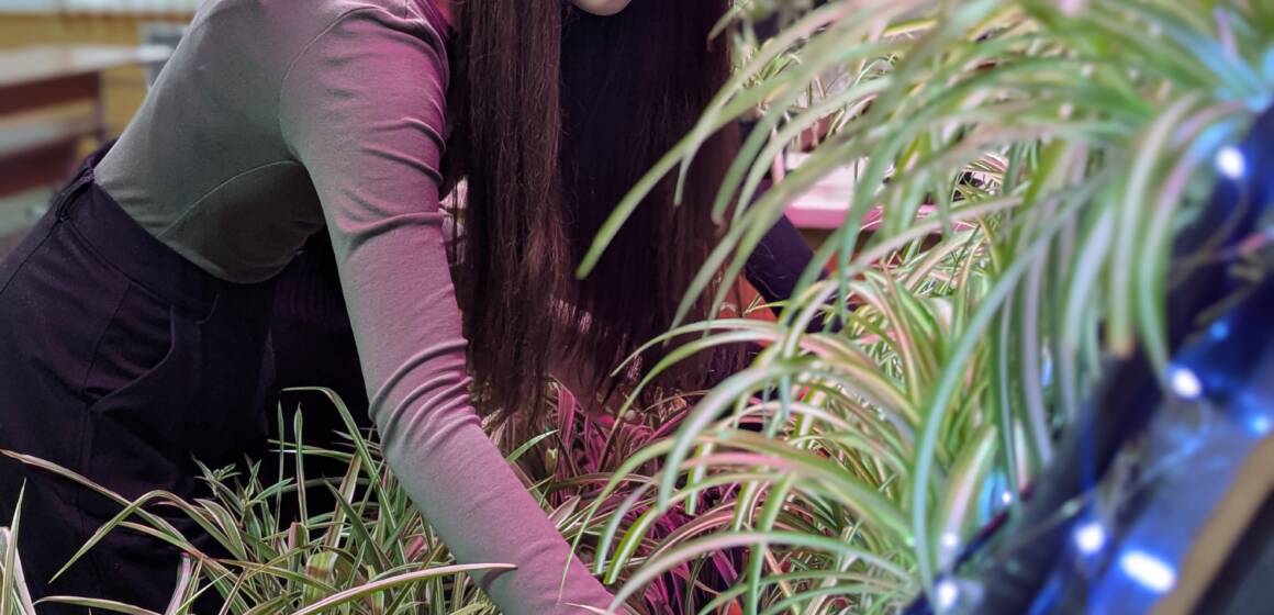 52 хлорофітуми та розумна система поливу: як вінницькі школярі перетворили їдальню на «живу» оазу