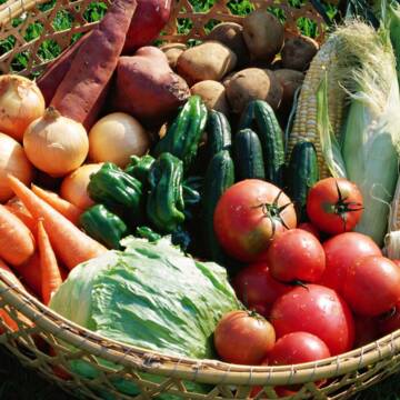 Від меду до овочів: як Вінниця зміцнює продовольчий фронт та підтримує фермерів