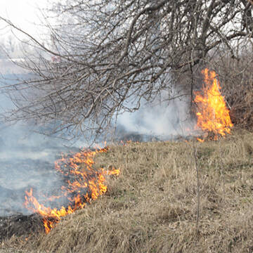 суха-трава-горить Майже 30 паліїв виявила у Вінниці Муніципальна варта