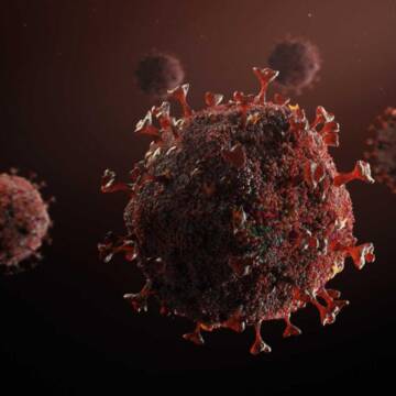 На Вінниччині виявили новий субваріант COVID-19 «Цикада»: що варто знати