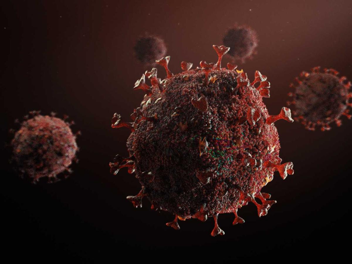 На Вінниччині виявили новий субваріант COVID-19 «Цикада»: що варто знати