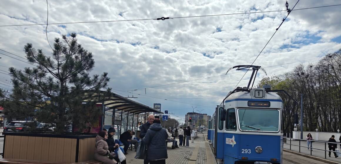 У Вінниці на зупинці «Медичний університет» встановили кашпо з деревами