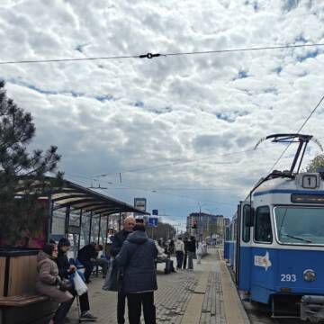 У Вінниці на зупинці «Медичний університет» встановили кашпо з деревами