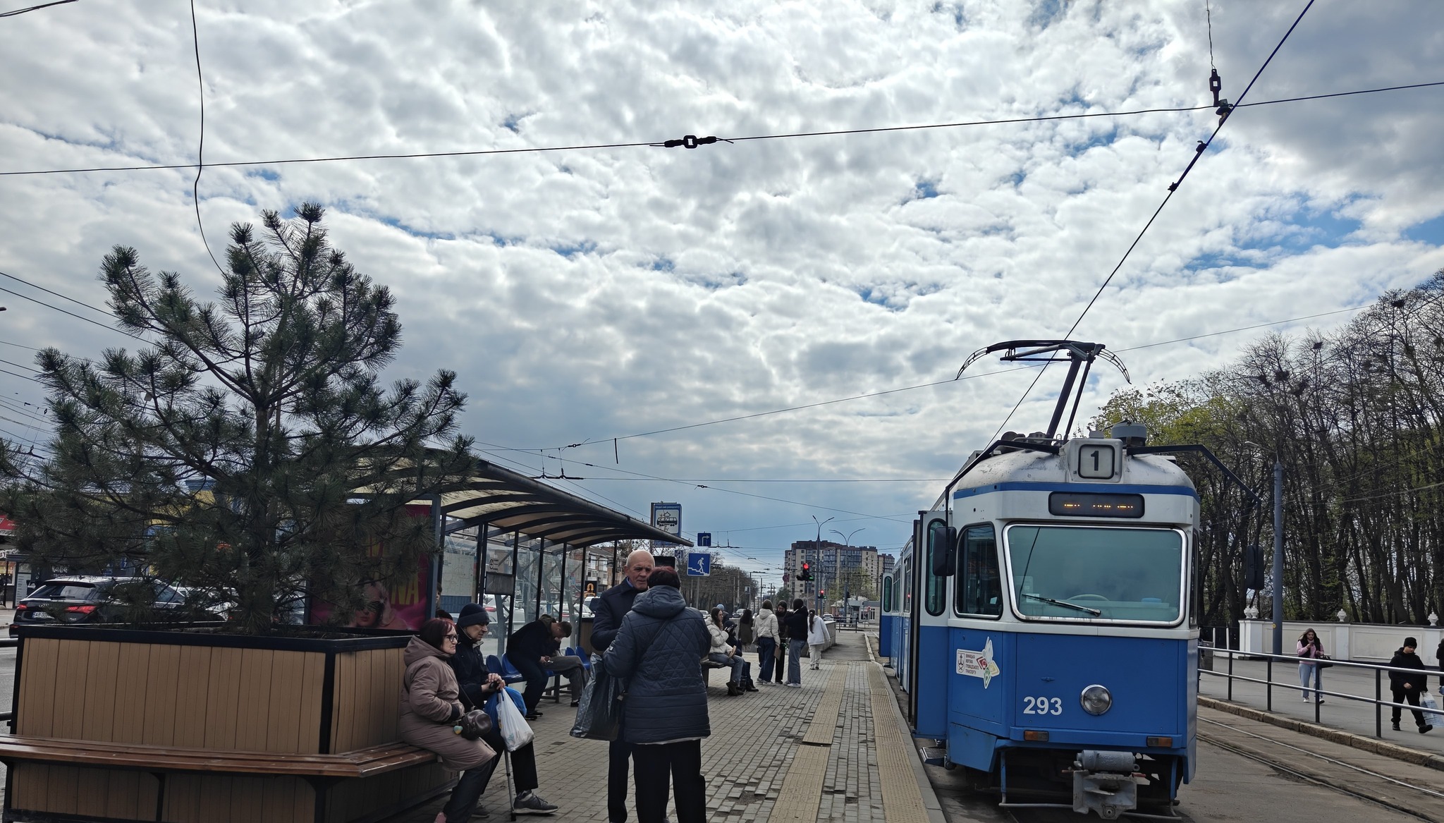 У Вінниці на зупинці «Медичний університет» встановили кашпо з деревами